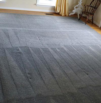 Area Rug Cleaning Service