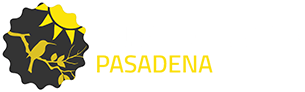 carpetcleaningpasadenatx.com